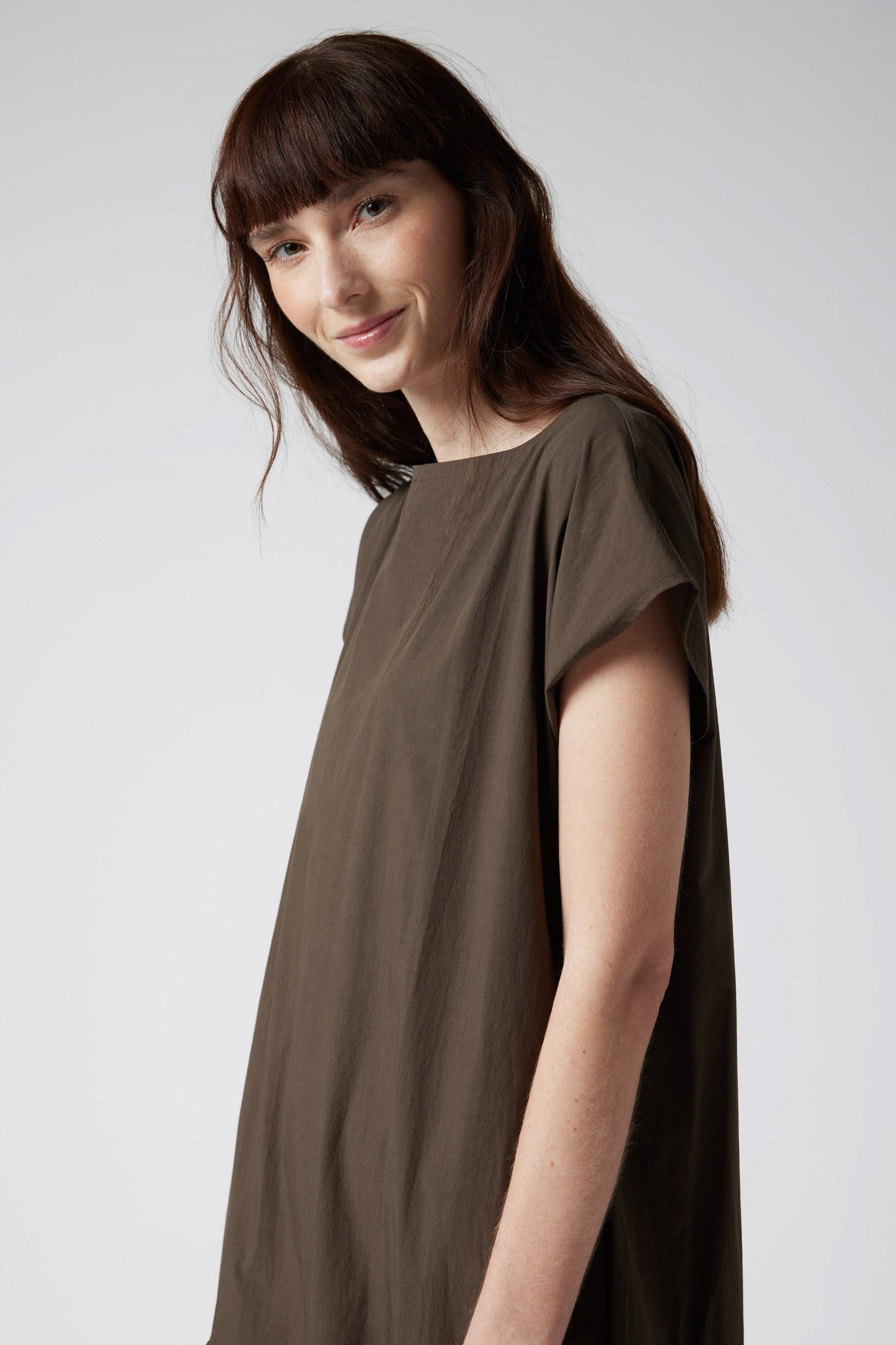 The Sophisticated Poplin Dress