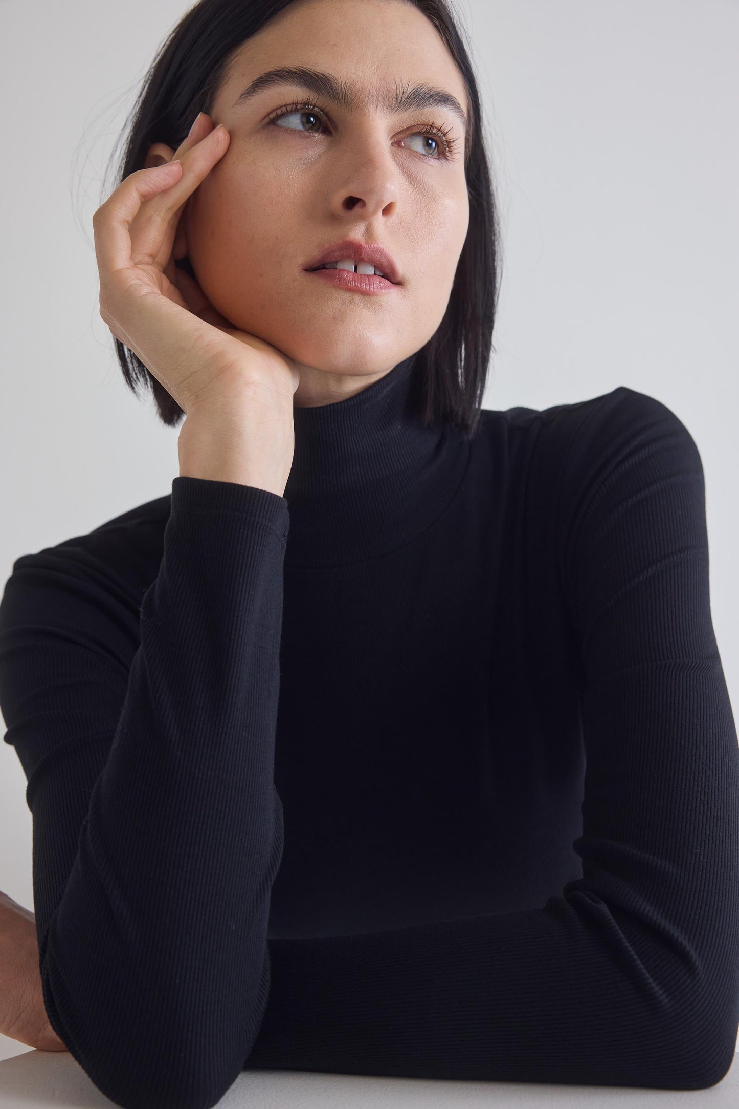 The Ribbed Turtleneck