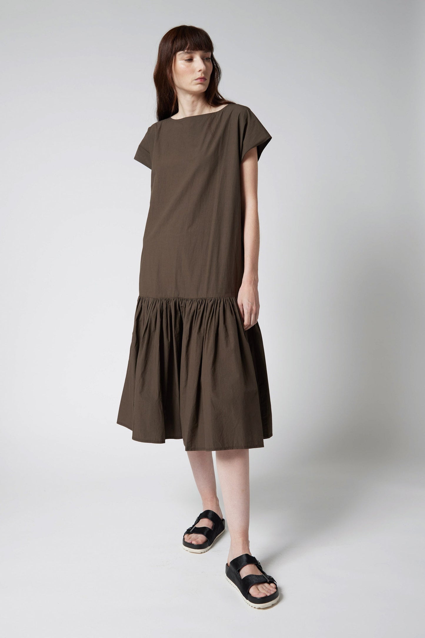 The Sophisticated Poplin Dress
