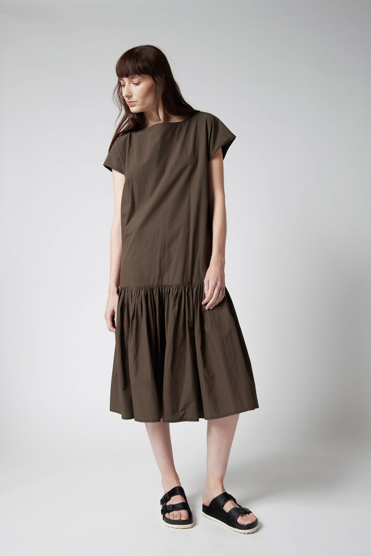 The Sophisticated Poplin Dress