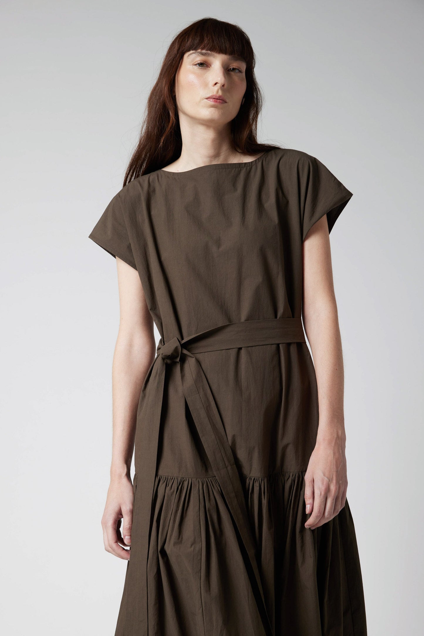 The Sophisticated Poplin Dress