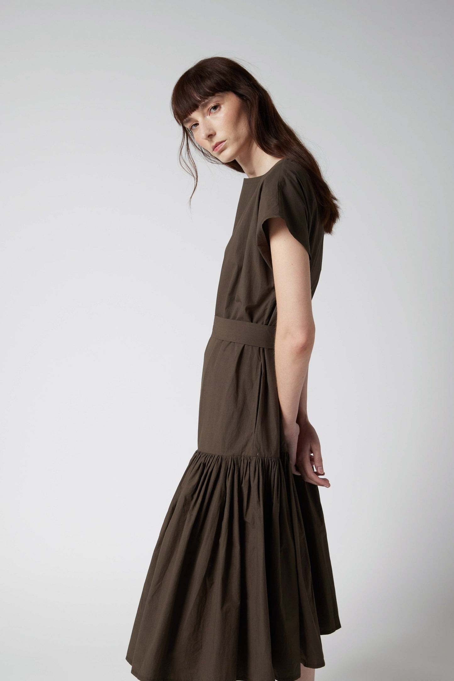 The Sophisticated Poplin Dress
