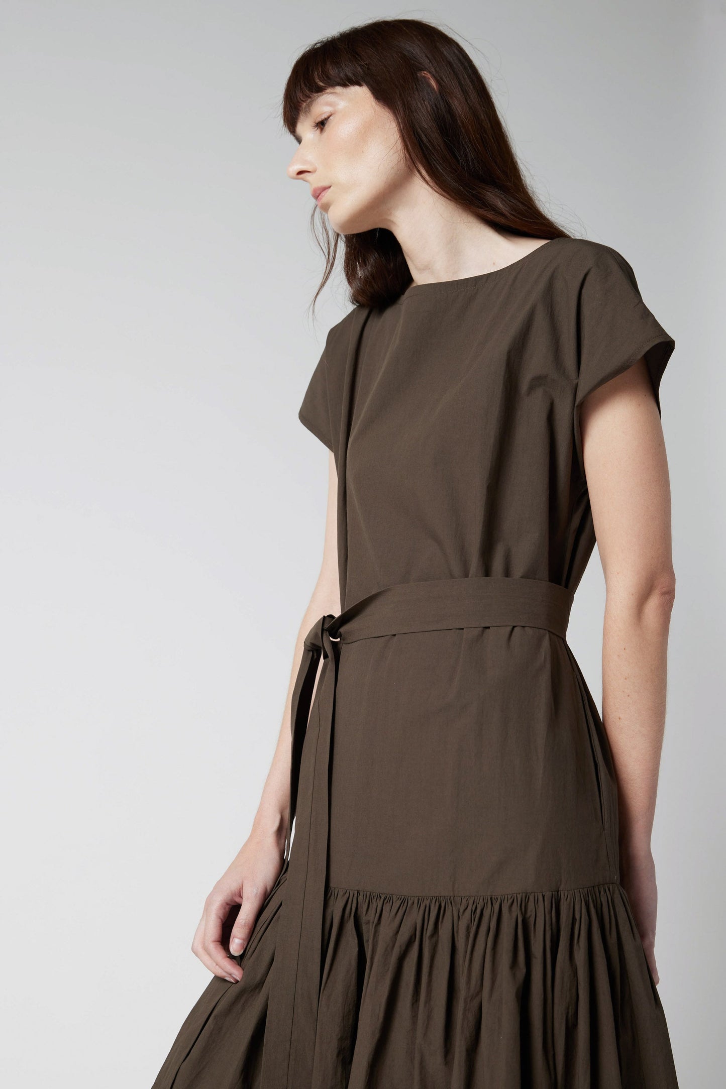 The Sophisticated Poplin Dress