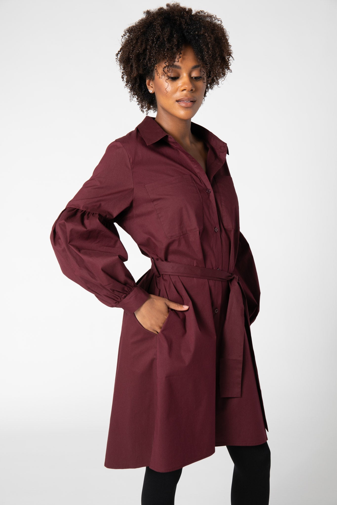 Puff Sleeve Shirt Dress